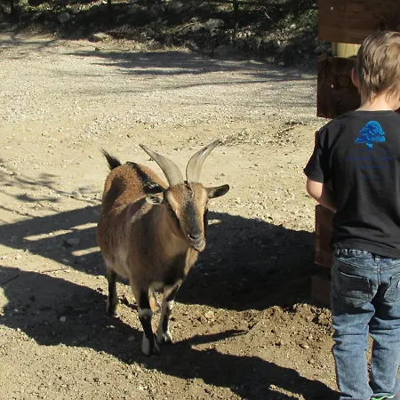 Mobilhome «des Salines» * 6 Personnes *3